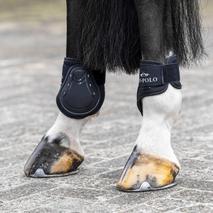 hv-polo-tendon-and-fetlock-bootset-hvpclassic-black