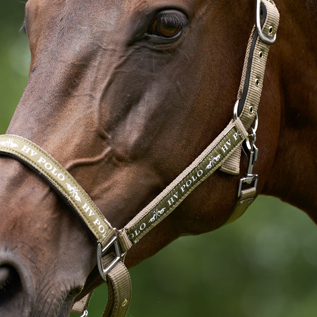 hv-polo-headcollar-hvpnena-straw