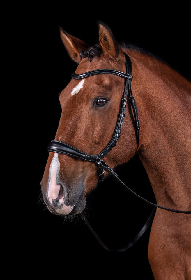 Schockemohle Equitus Theta Snaffle Bridle