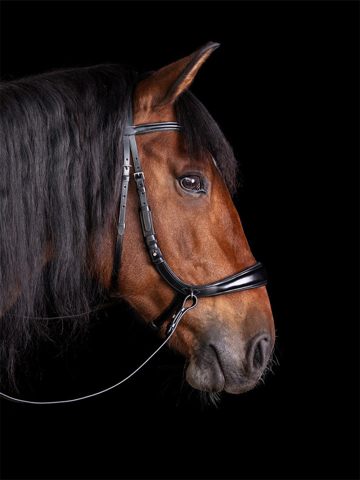 Schockemohle Equitus Theta Snaffle Bridle