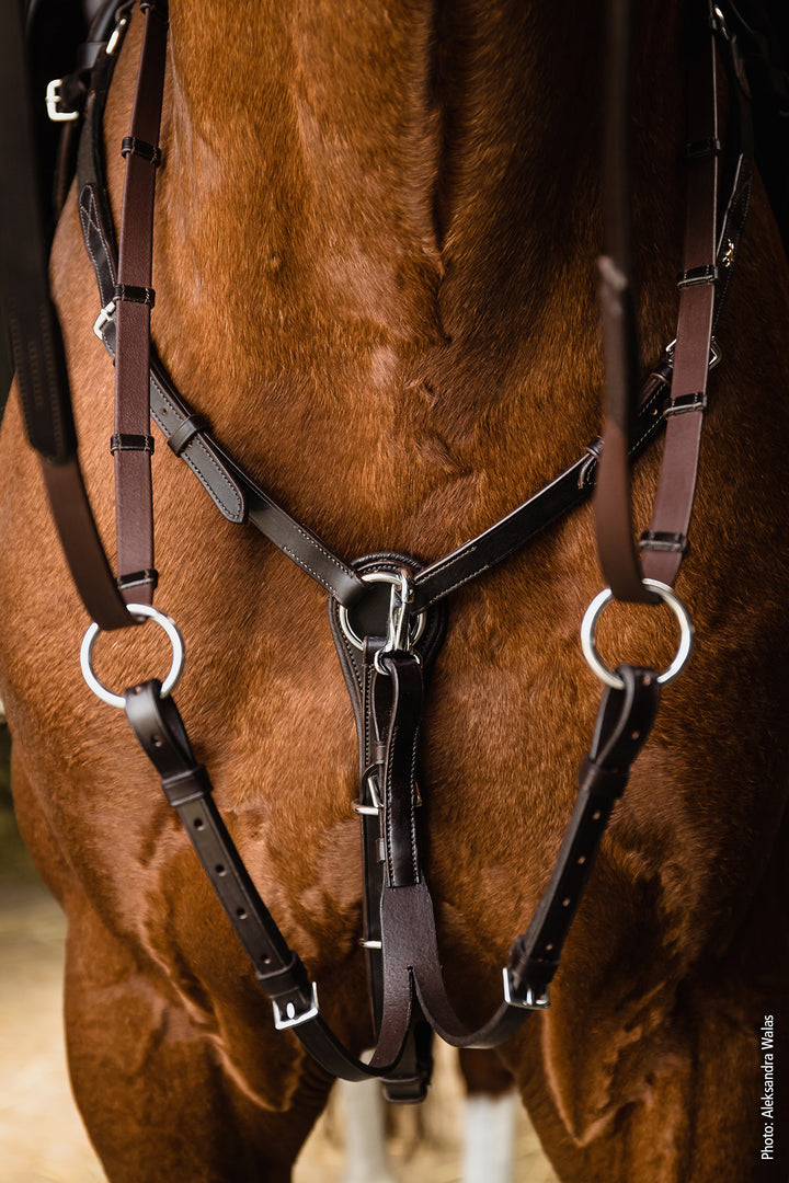 Schockemohle Como Elastic Breastplate