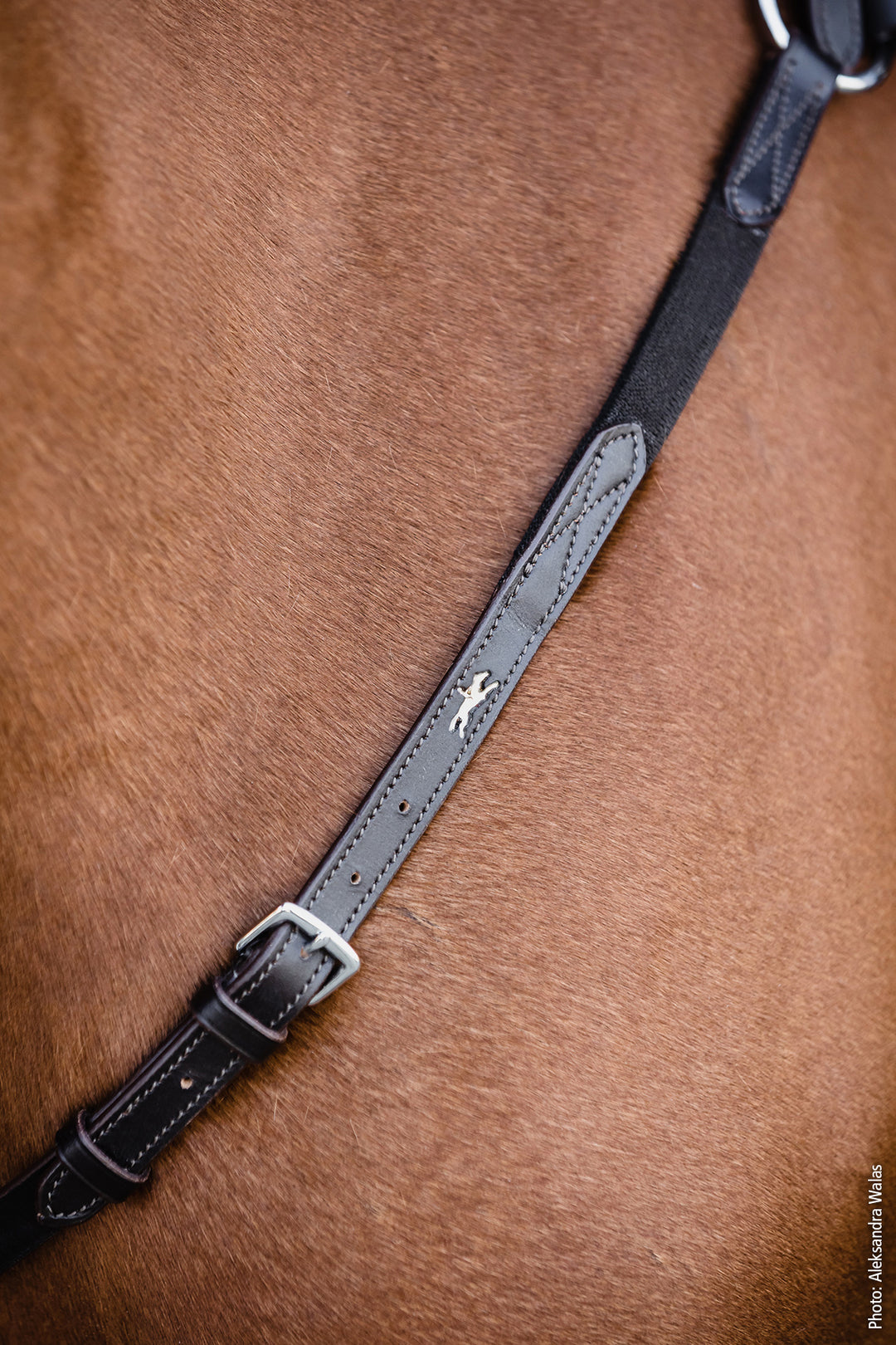 Schockemohle Como Elastic Breastplate