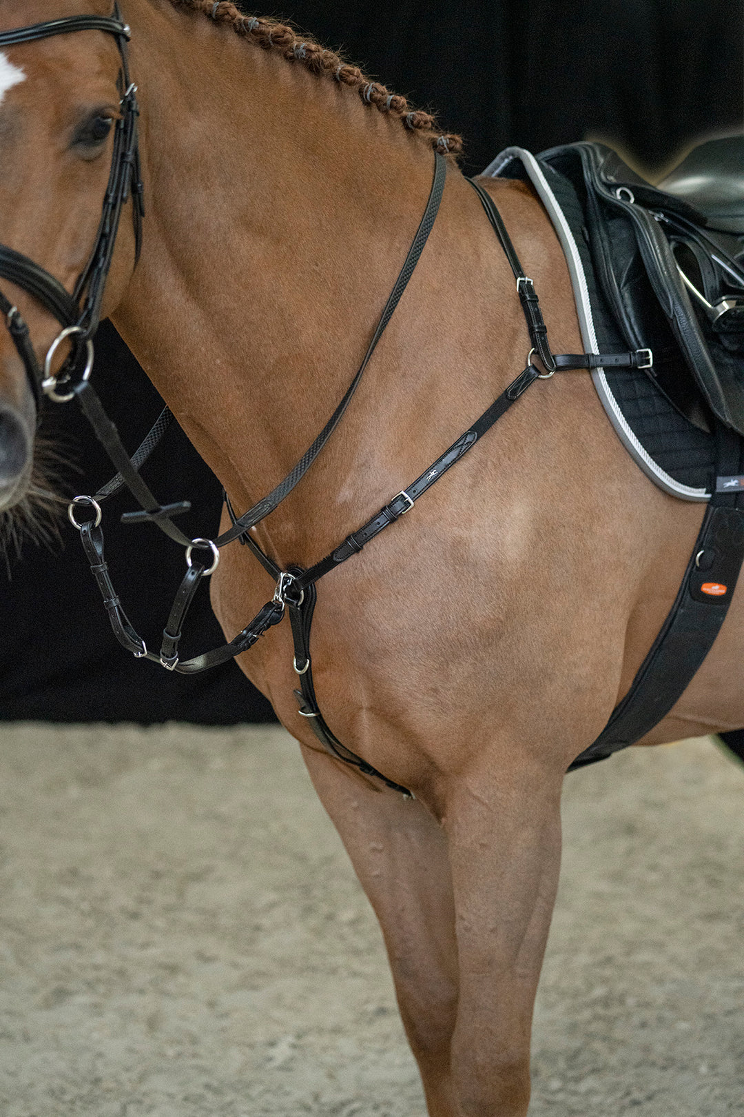 Schockemohle Como Elastic Breastplate