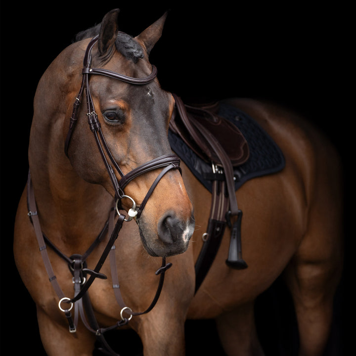 hv-polo-martingale-hvplegacy-chocolate-brown