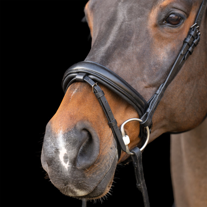 Imperial Riding Snaffle Bridle with English Noseband