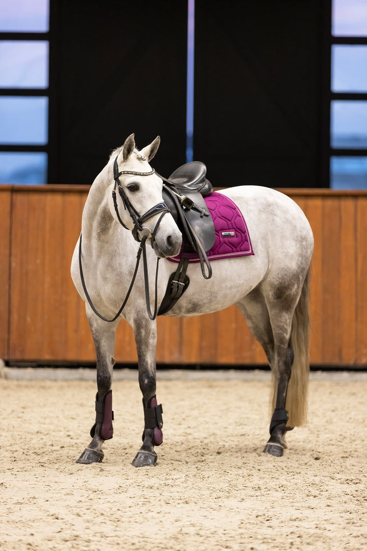 Imperial Riding Fetlock Boots Lovely
