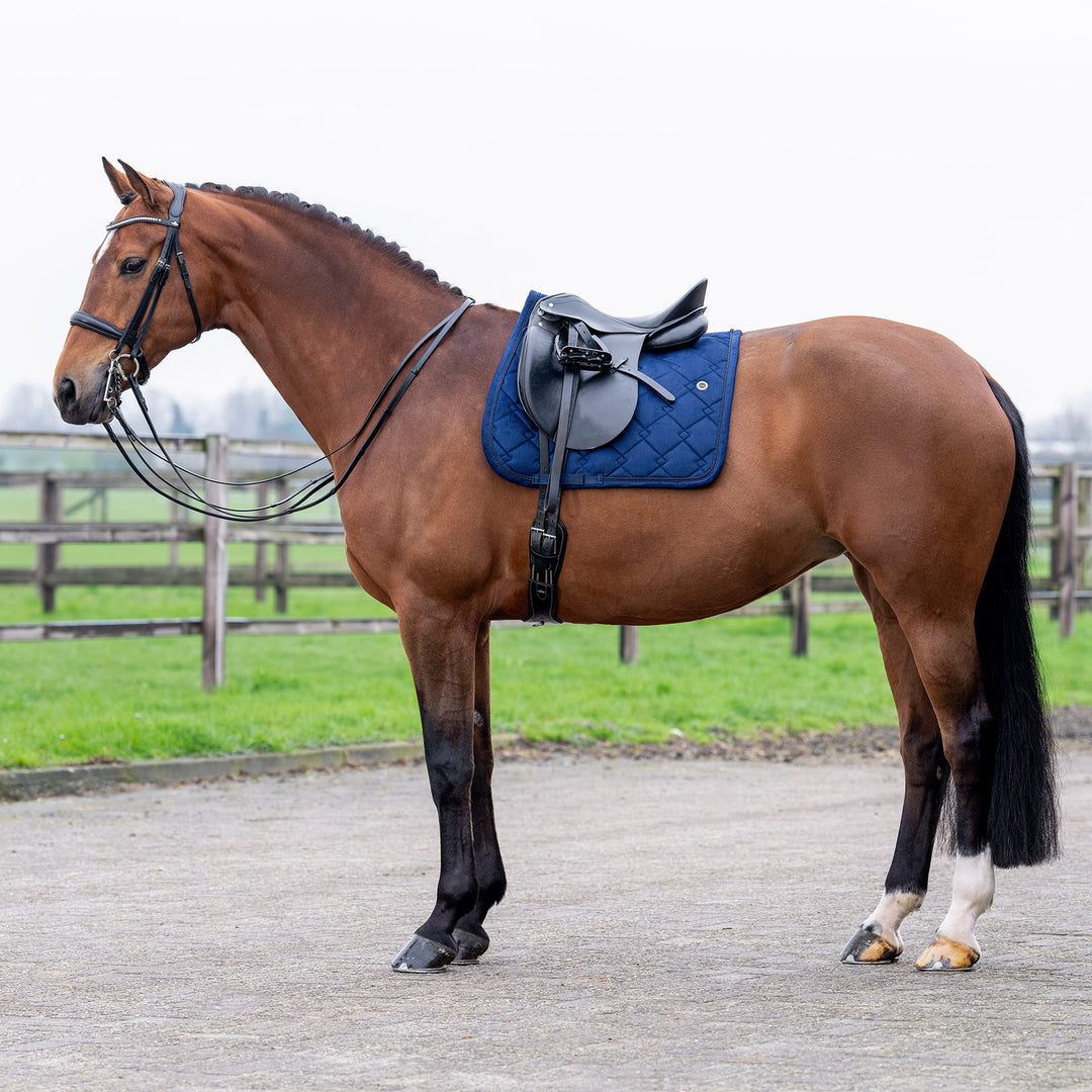 hv-polo-saddlepad-hvpdana-dr-navy