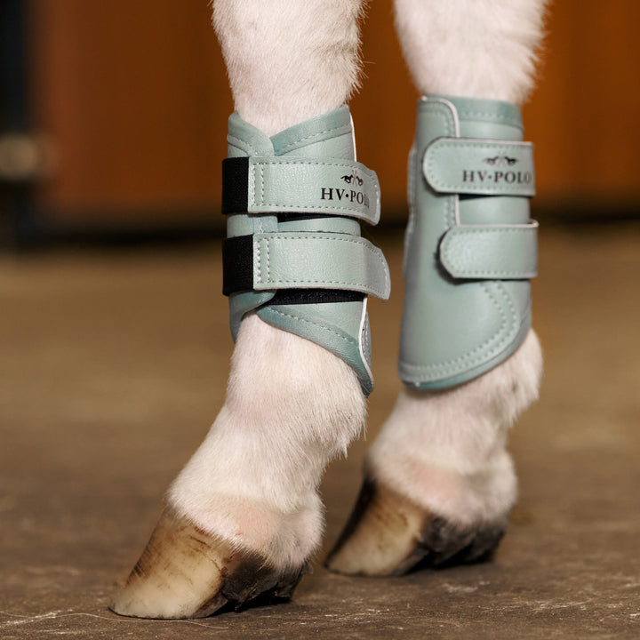 hv-polo-brushing-boots-hvpsacha-aqua-sky