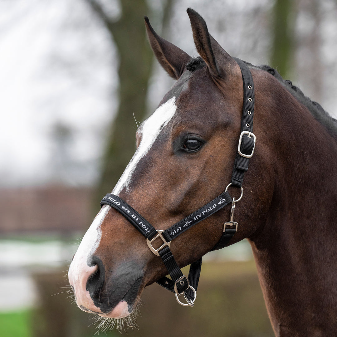 hv-polo-headcollar-hvpnena-black