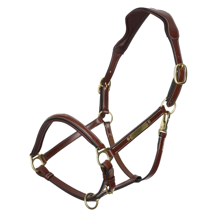 hv-polo-headcollar-hvplegacy-brown