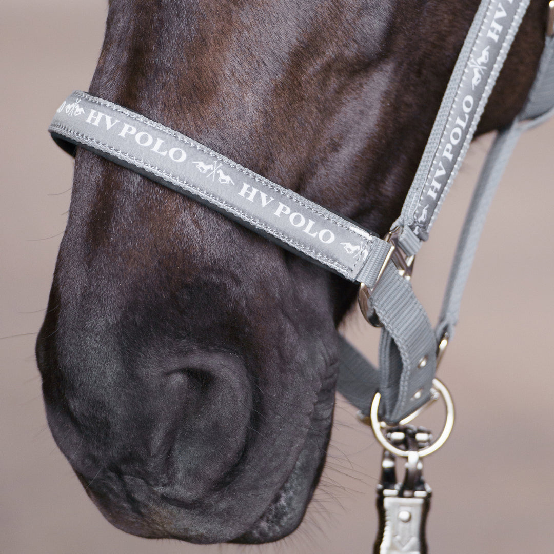hv-polo-headcollar-hvpnena-stone