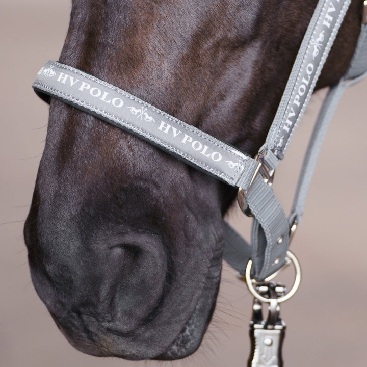 hv-polo-headcollar-hvpnena-stone