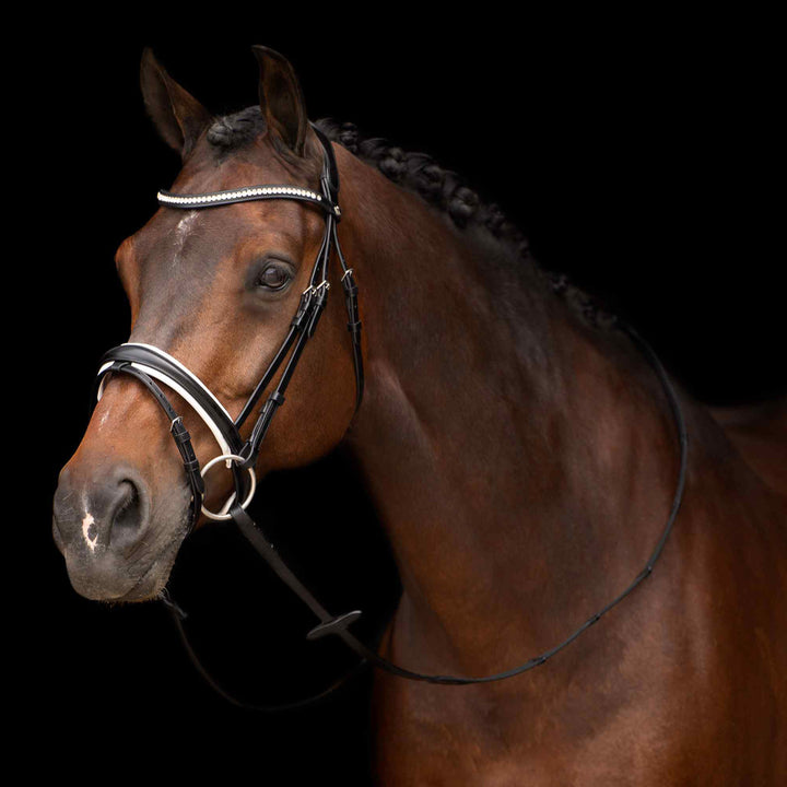 hv-polo-bridle-hvplegacy-deluxe-black-white