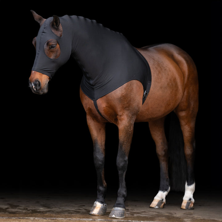 Imperial Riding Hood Slinky