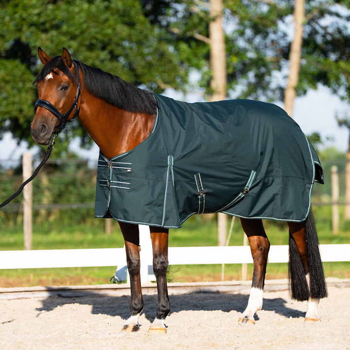 Imperial Riding Outdoor Blanket Basic Without Neck 300 g - Green