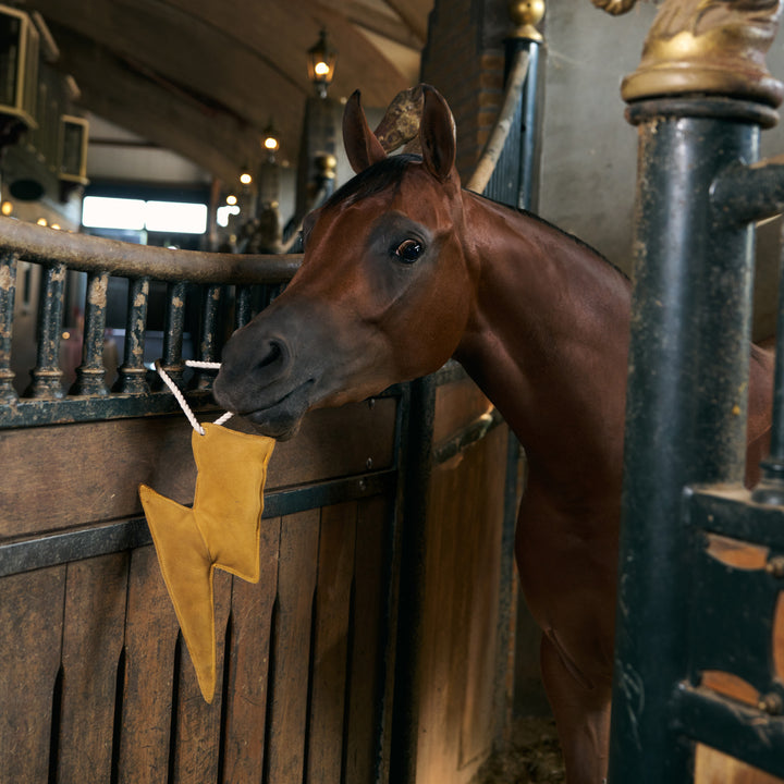 Imperial Riding Stable Buddy Lightning Bolt