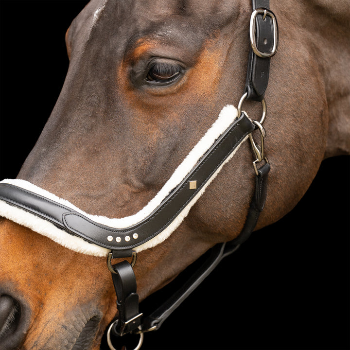 Imperial Riding Headcollar Luxury