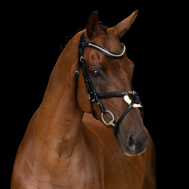 Imperial Riding Bridle Mexican