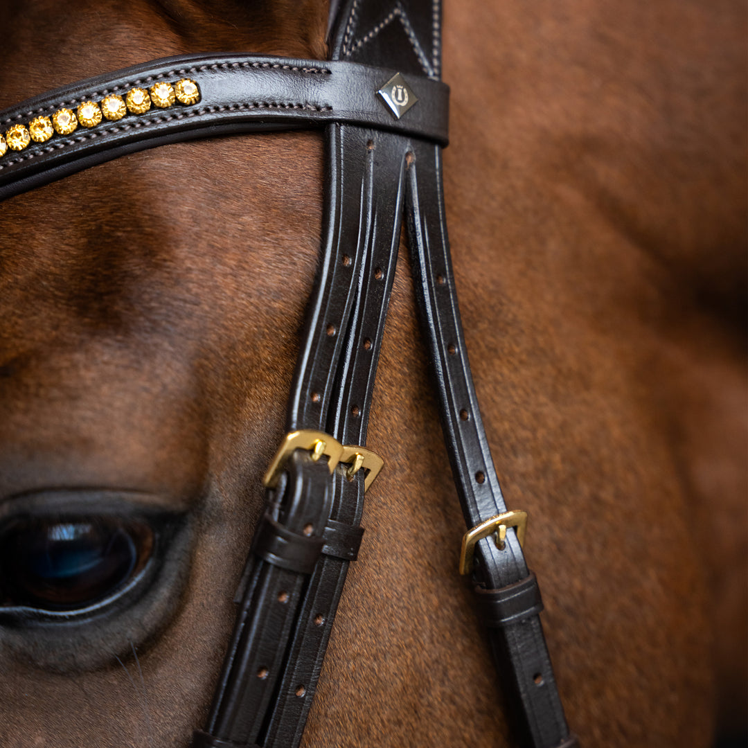 Imperial Riding Bridle Combined Noseband Simple - Brown
