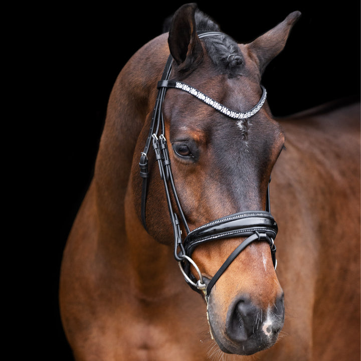 Imperial Riding Bridle Olympia - Black/Silver