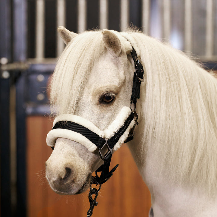 hv-polo-headcollar-hvpsacha-black