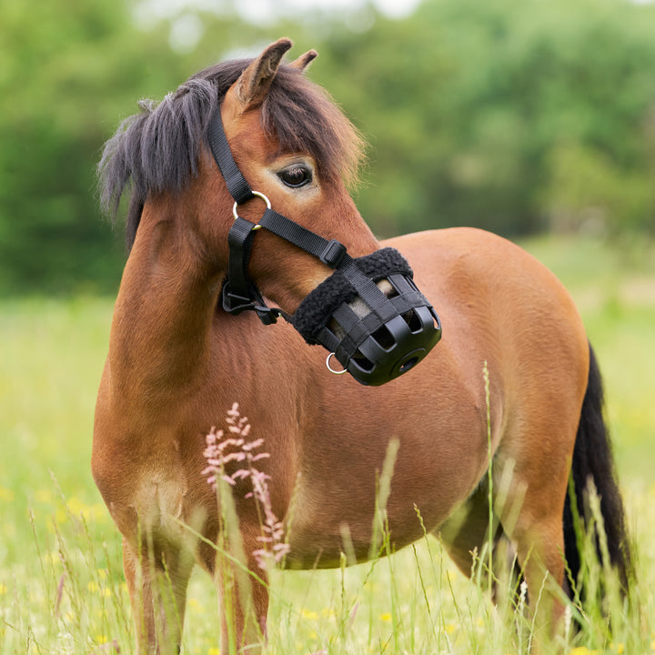 Imperial Riding Grazing Muzzle with Fur - Black