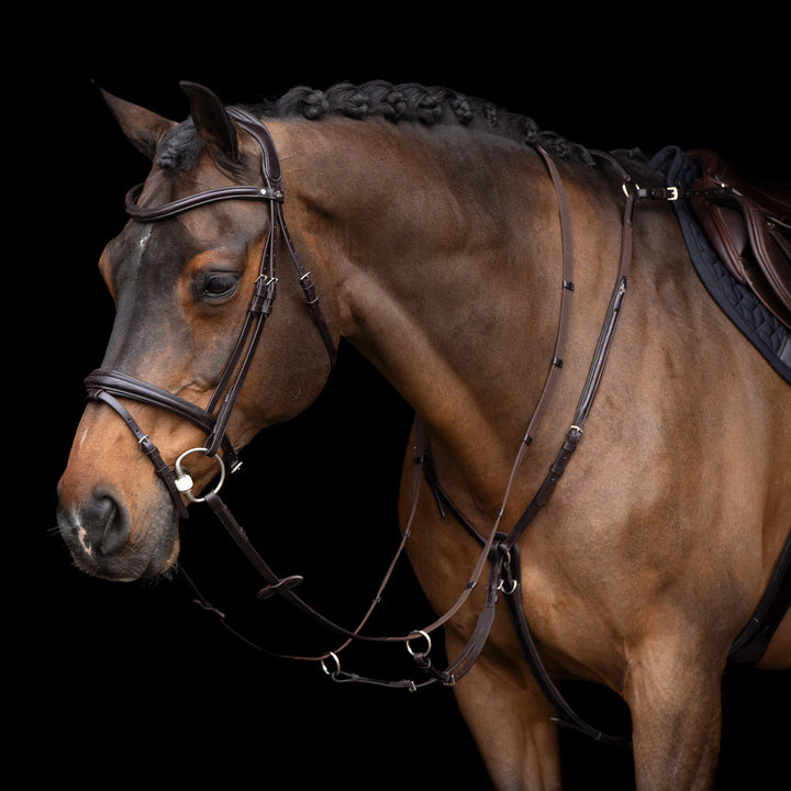 hv-polo-martingale-hvplegacy-chocolate-brown