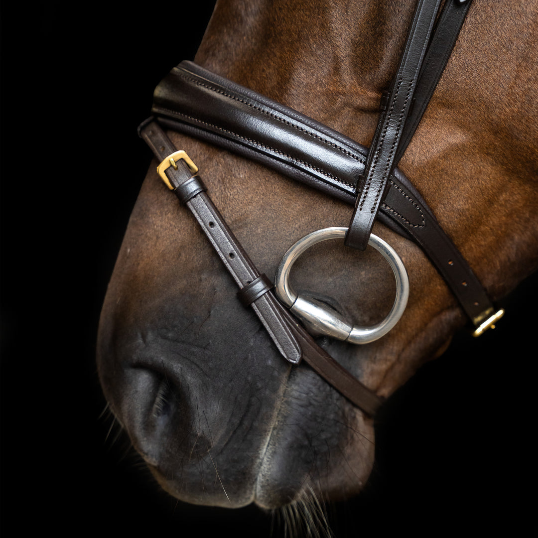 Imperial Riding Bridle Combined Noseband Simple - Brown