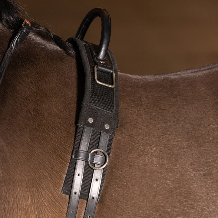 Imperial Riding Lunging Girth Vito - Black