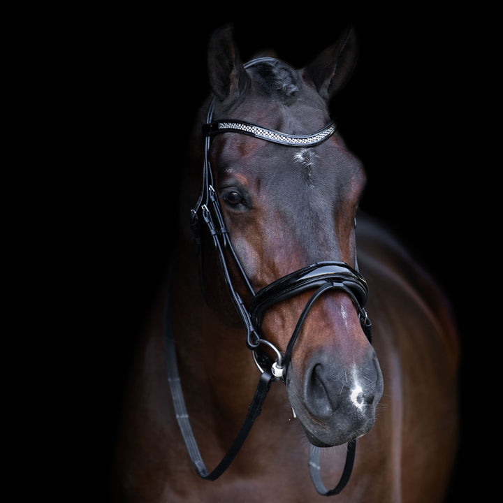 Imperial Riding Snaffle Bridle with English Noseband