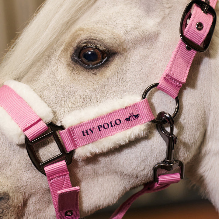 hv-polo-headcollar-hvpsacha-think-pink