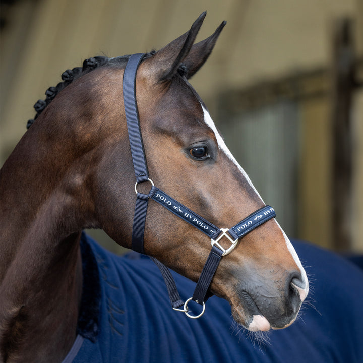 hv-polo-headcollar-hvpnena-navy