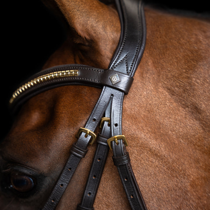 Imperial Riding Bridle Mexican