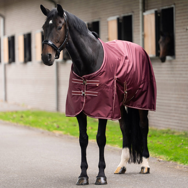 Imperial Riding Outdoor Blanket Basic Without Neck 200 g - Deep Red