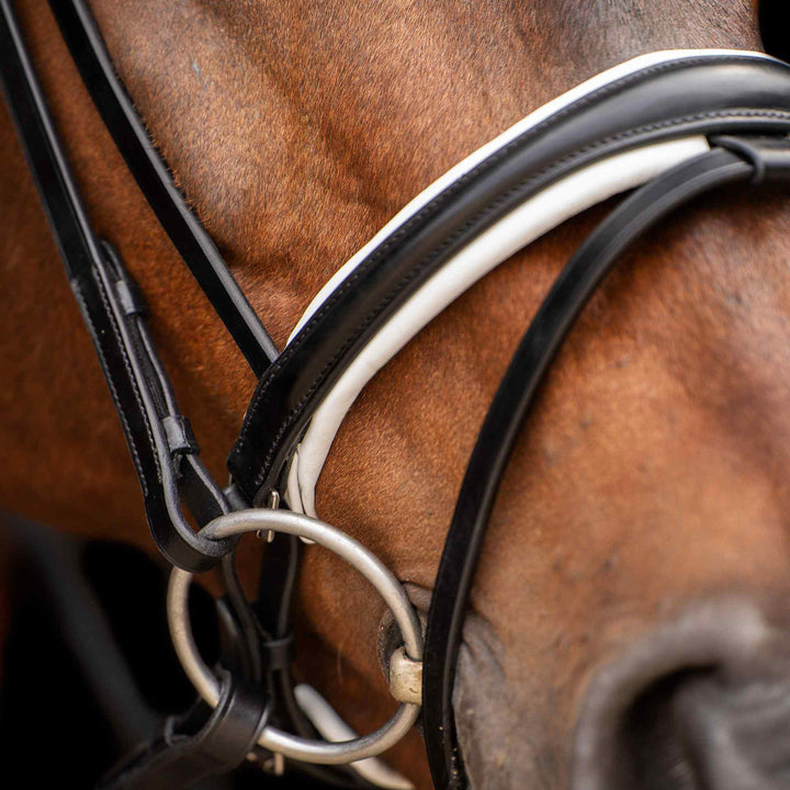 hv-polo-bridle-hvplegacy-deluxe-black-white