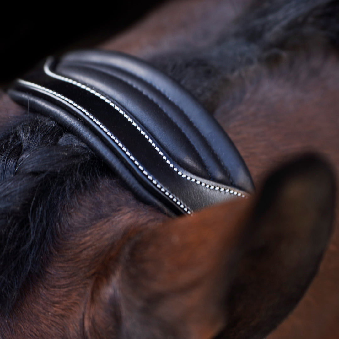 hv-polo-headcollar-hvplegacy-black