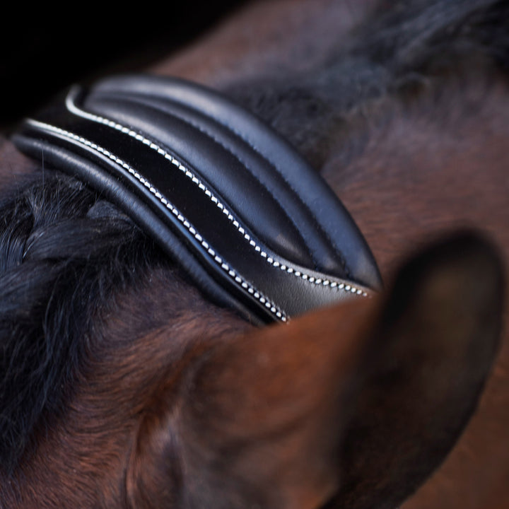 hv-polo-headcollar-hvplegacy-black