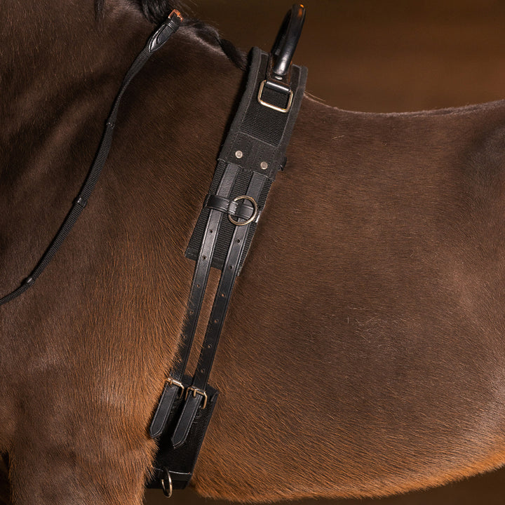 Imperial Riding Lunging Girth Vito - Black