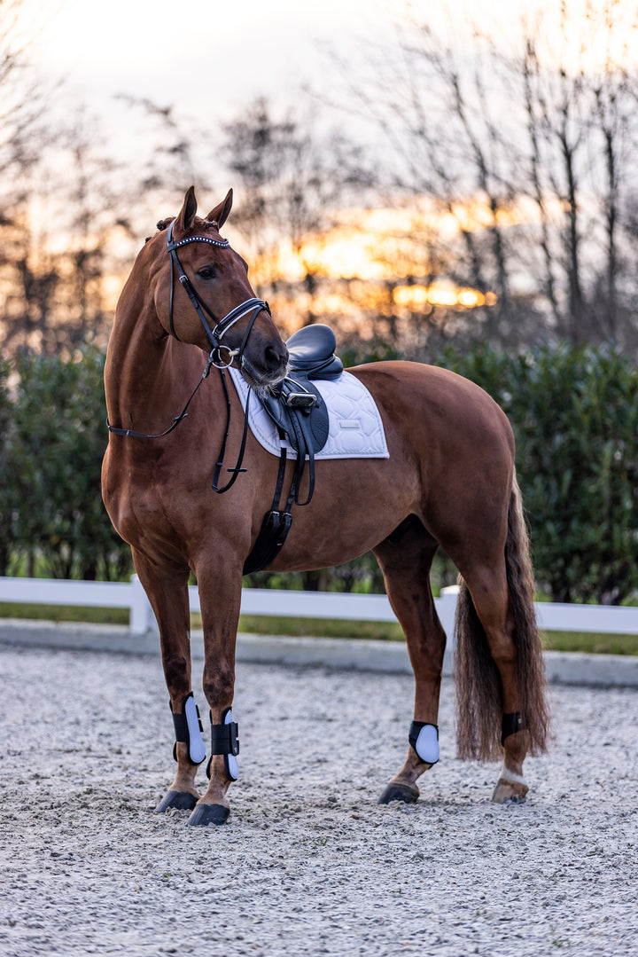 Imperial Riding Fetlock Boots Lovely