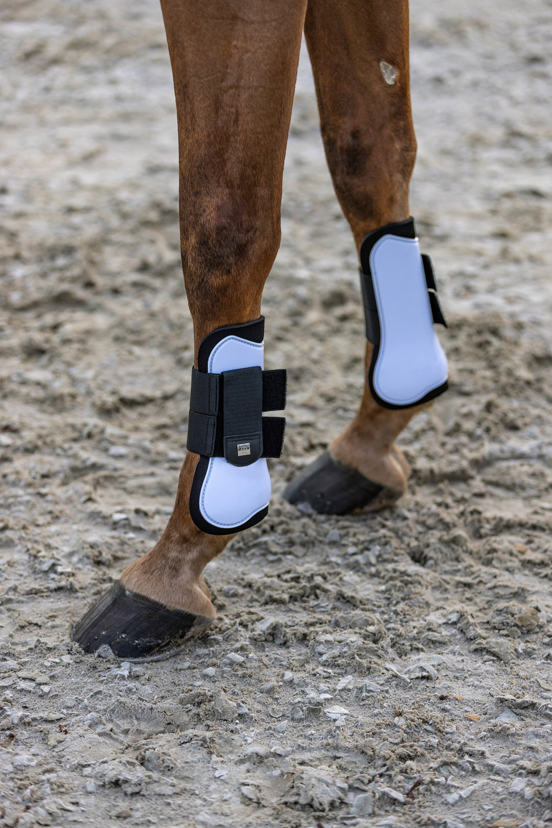 Imperial Riding Tendon Boots Lovely