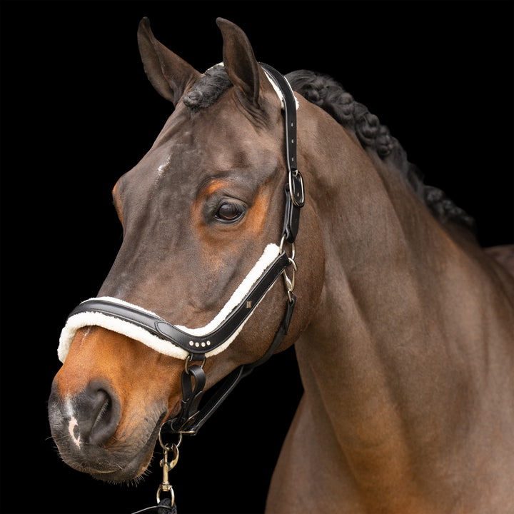 Imperial Riding Headcollar Luxury