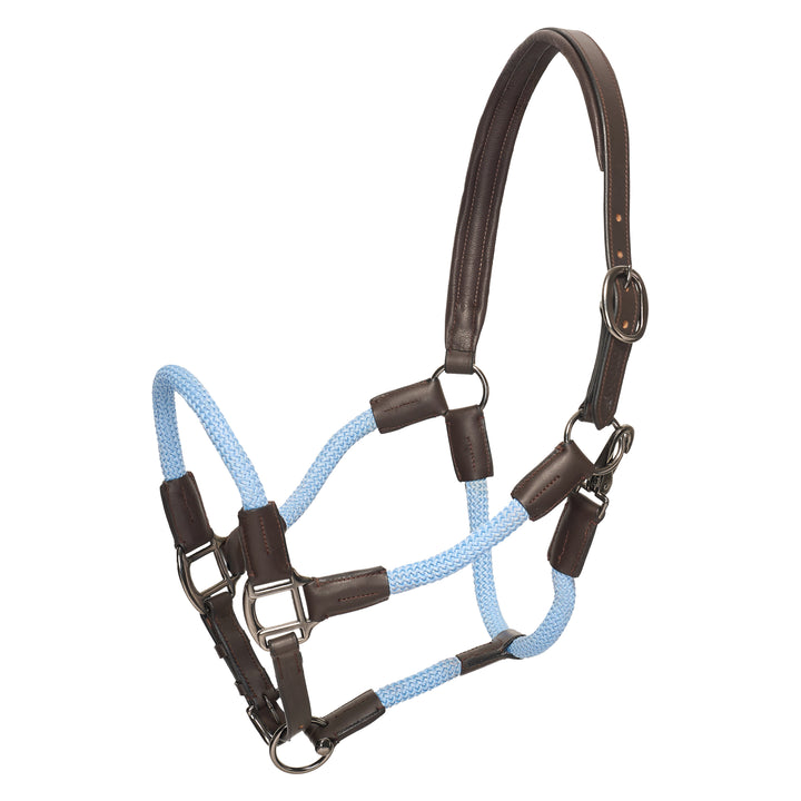 hv-polo-headcollar-hvpfranka-powder-blue