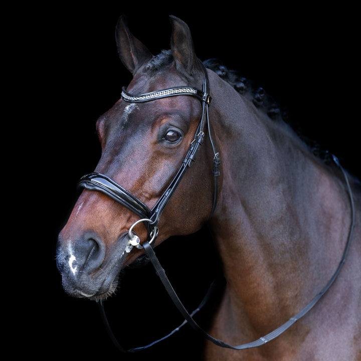 Imperial Riding Snaffle Bridle with English Noseband