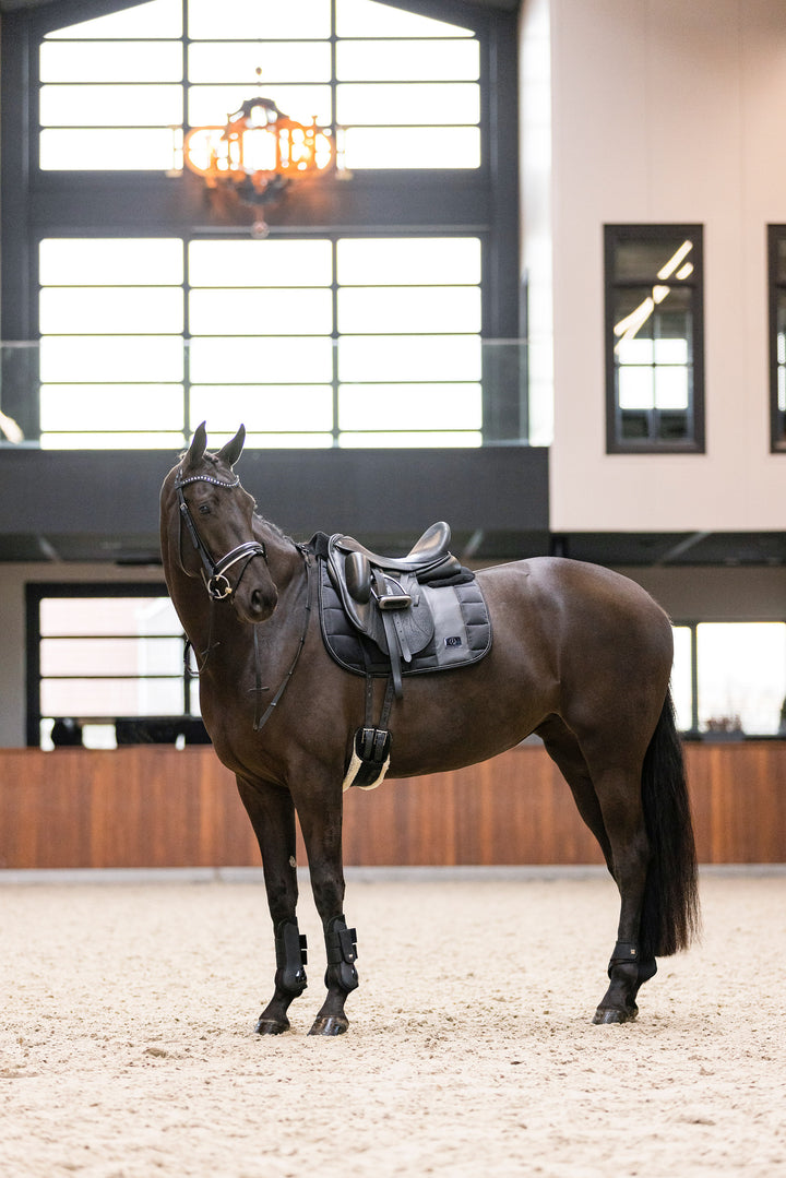 Imperial Riding Fetlock Boots Lovely