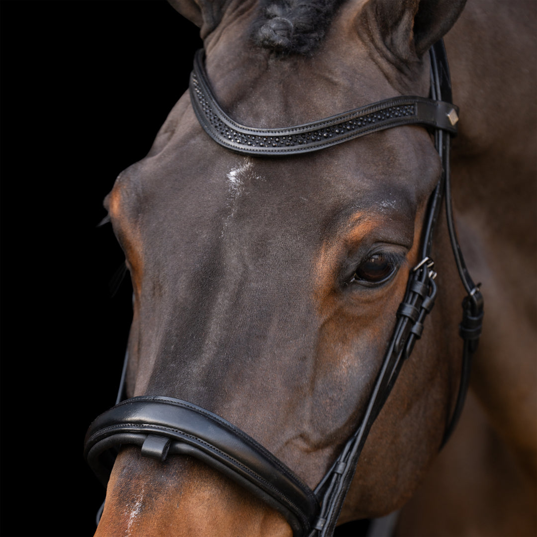 Imperial Riding Snaffle Bridle with English Noseband