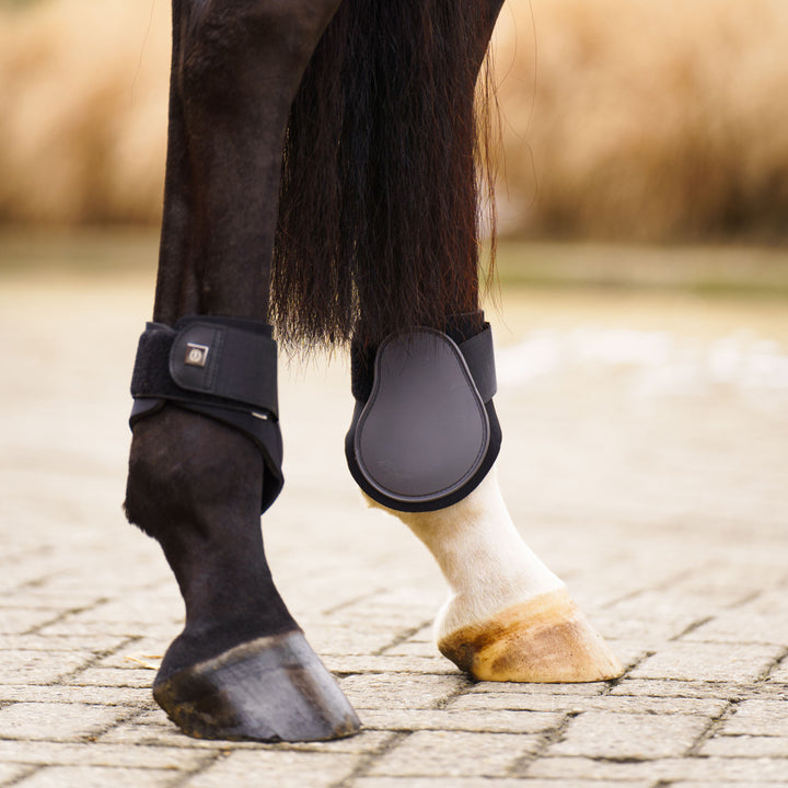 Imperial Riding Fetlock Boots Lovely