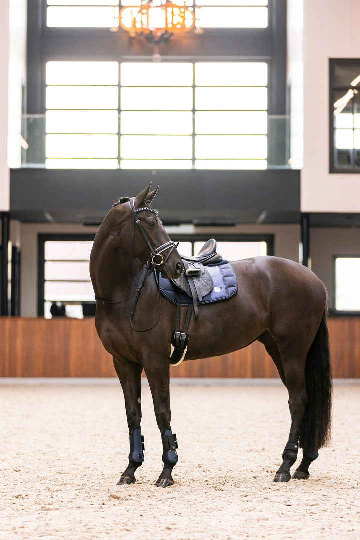 Imperial Riding Fetlock Boots Lovely