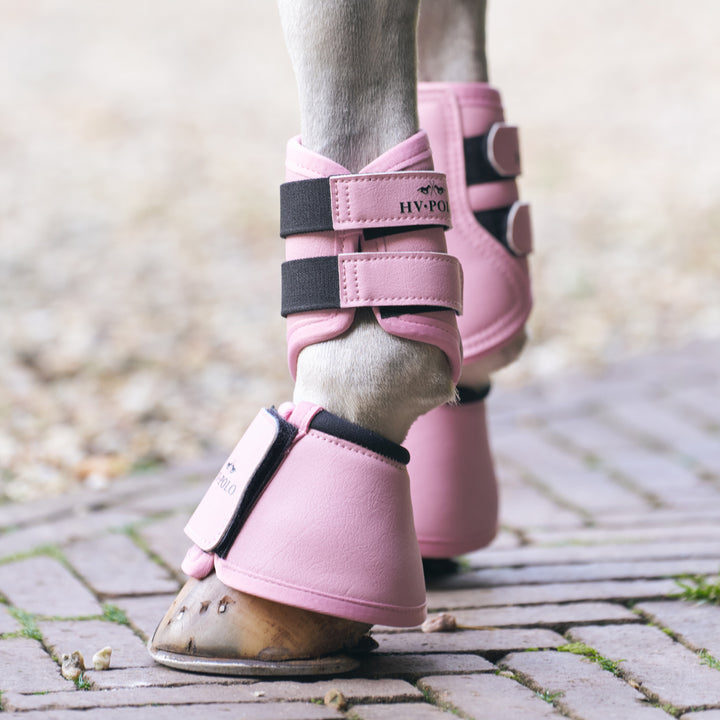 hv-polo-brushing-boots-hvpsacha-pretty-pink