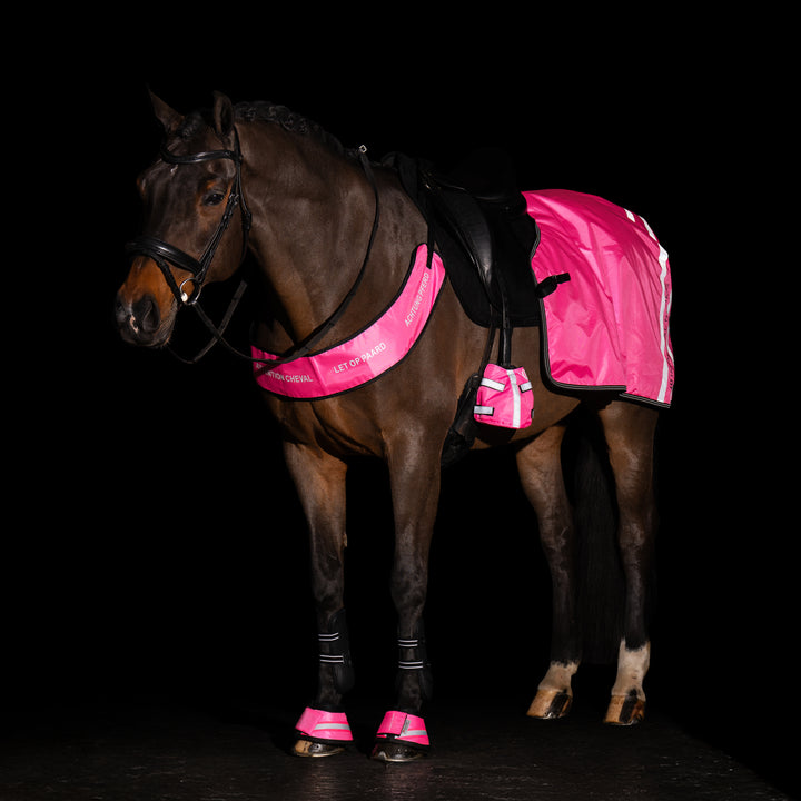 Imperial Riding Exercise Blanket Reflective