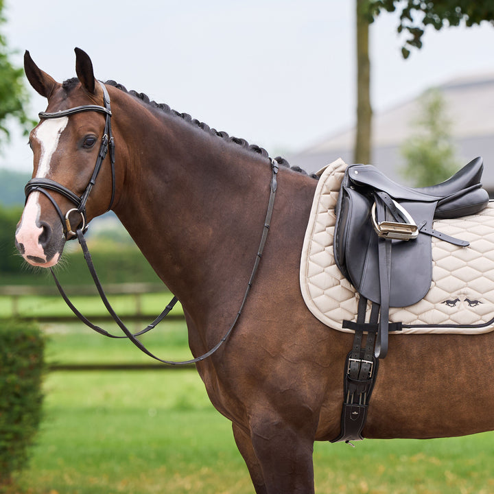 hv-polo-saddlepad-hvpjoan-dr-cashmere